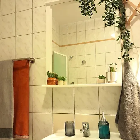 Spacious In Old-west - Leutsch Apartment