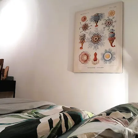 Spacious In Old-west - Leutsch Apartment