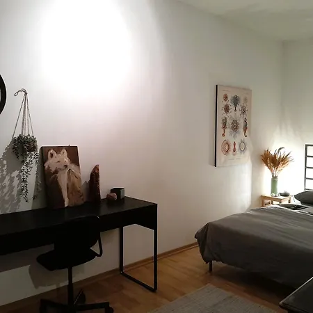 Spacious In Old-west - Leutsch Apartment Leipzig
